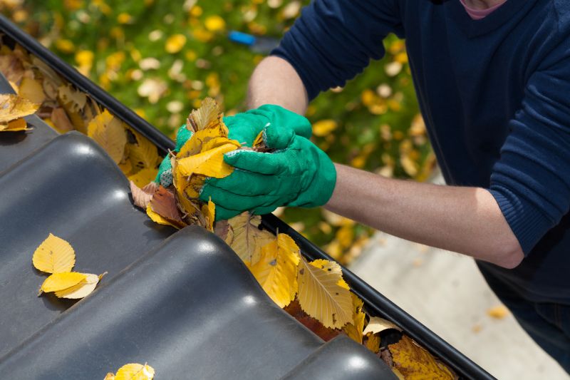 Gutter Maintenance Tips