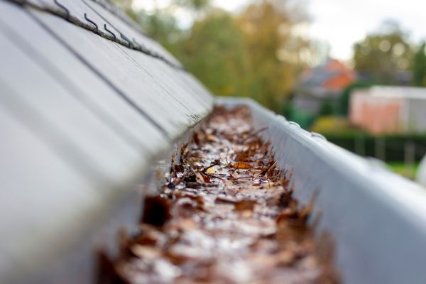 Commercial Gutter Cleaning in Bothell