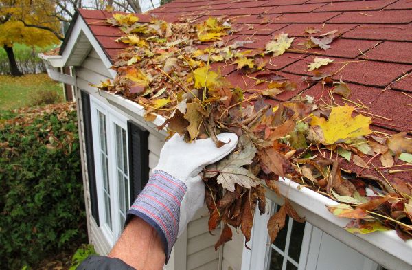 Rain Gutter Cleaning Service in Bothell