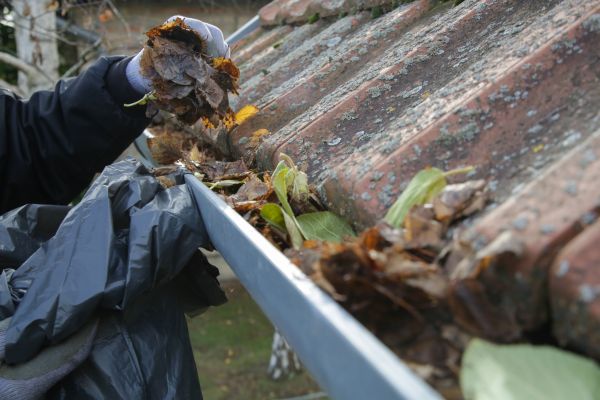 Commercial Gutter Unclogging in Bothell