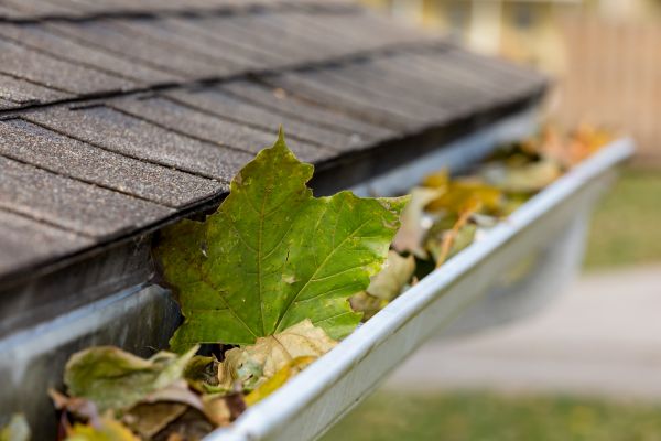 Gutter System Cleaning in Bothell