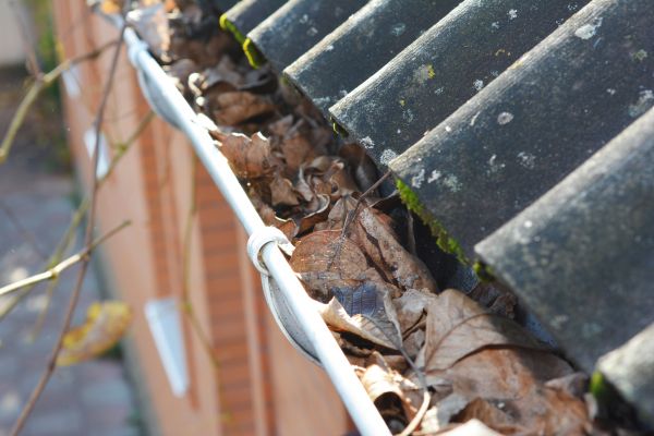 Home Gutter Cleaning in Bothell