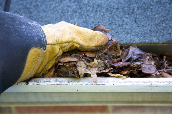 Jammed Gutter Cleaning in Bothell