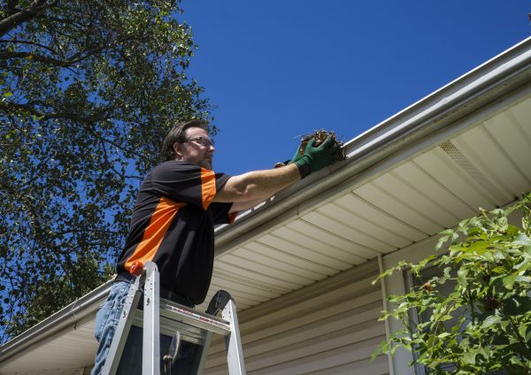Eavestrough Clearing in Bothell